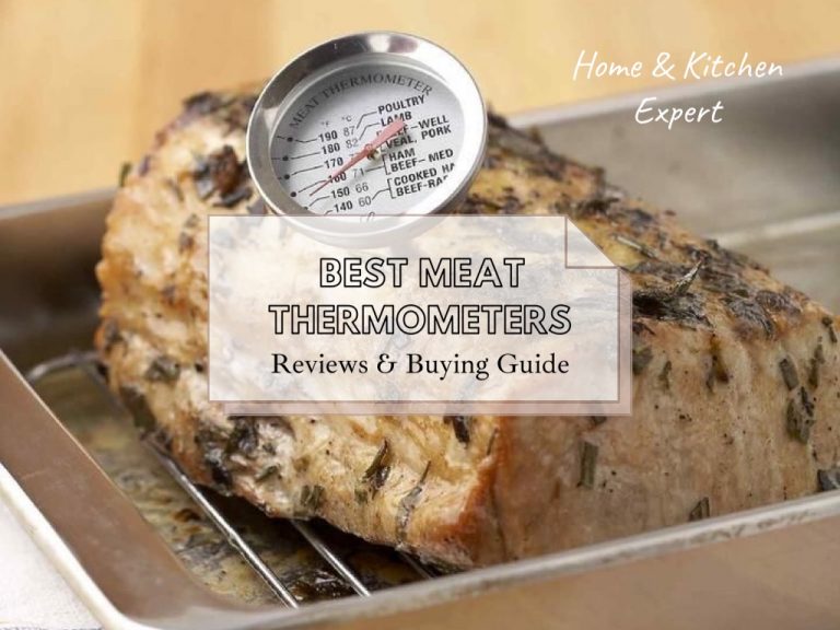 Best Meat Thermometers Reviews