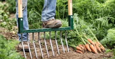 Best tools for turning over soil