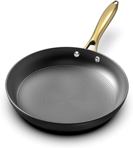 Durable 10 Inch Nonstick Frying Pan with Stay Cool Handle – iMarku