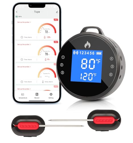 Smart Wireless Meat Thermometer: Grill with Precision